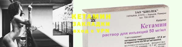 прущие грибы Богородицк