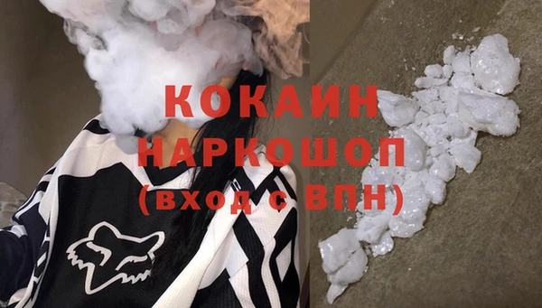 прущие грибы Богородицк