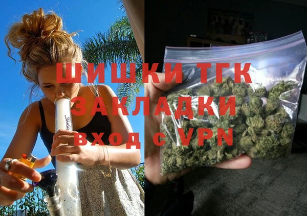 прущие грибы Богородицк